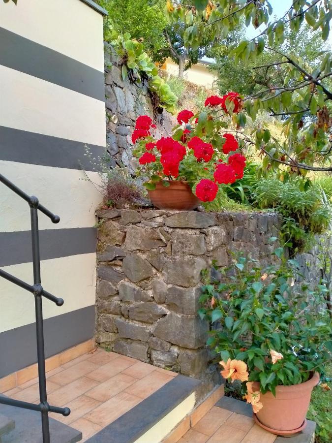 5 Terre - B&B La Giuditta - La Spezia Exteriör bild