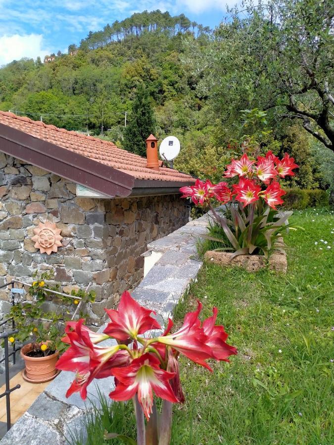 5 Terre - B&B La Giuditta - La Spezia Exteriör bild